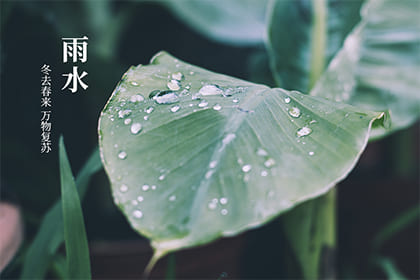 2022年雨水节气具体时间介绍：几月几日几点几分几秒？