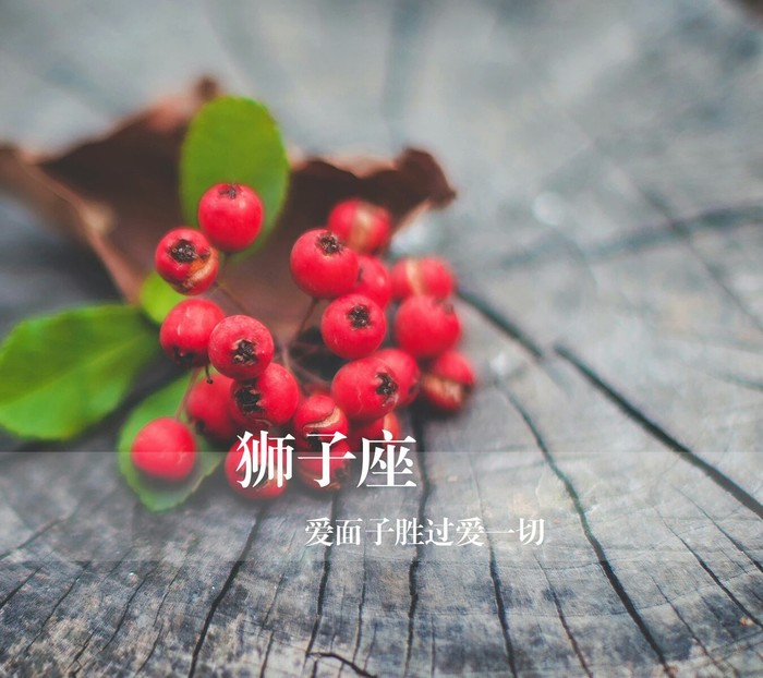 什么星座最吸引狮子座?最适合与狮子座恋爱的星座?