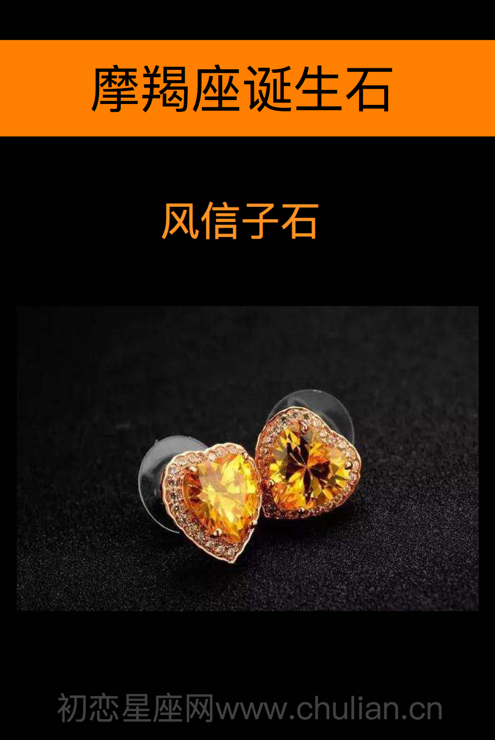 摩羯座诞生石:风信子石