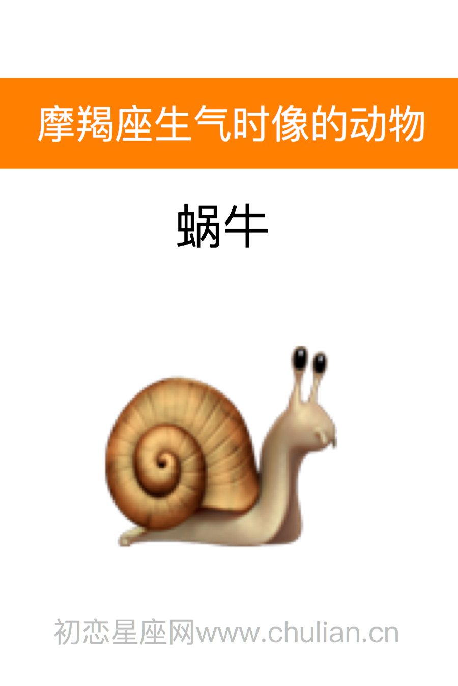 摩羯座是什么动物