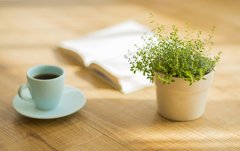 风水的作用有哪些