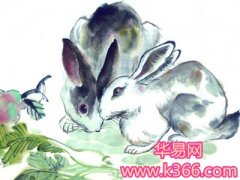 属兔男生和属虎女生配对