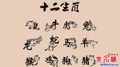 生肖起名满分的名字满足什么条件？