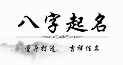 2019猪宝宝名字大全_取女孩名字