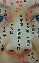 鼻子长痣面相图「男人女人鼻子长痣面相图」 鼻子长痣面相图「男人女人鼻子长痣面相图」