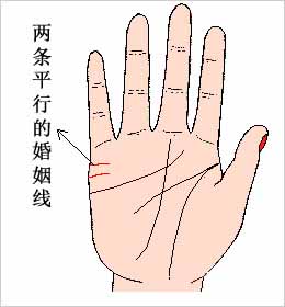 有两条间隔的婚姻线，相互平行