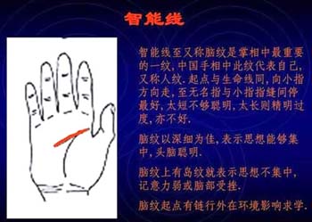 男女通用的简易手相算命图解