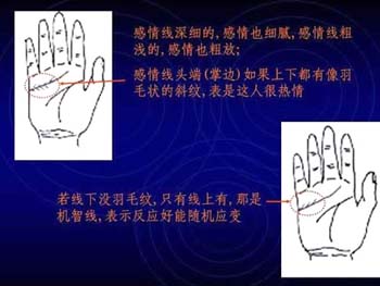 男女通用的简易手相算命图解