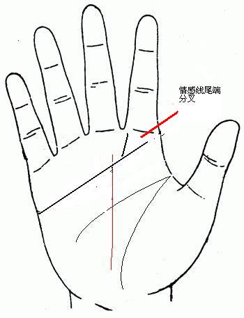 详细的图文解说，嫁富豪手相面相