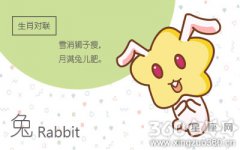 决战职场 属兔人靠得是什么