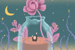 生肖兔被人喜欢不是没有理由的