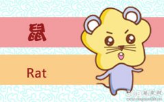 属鼠女对自己的定位是什么