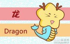 属龙人在考试前一天会做什么