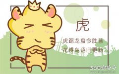 属虎女会跟男友租住在什么地方