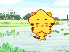 属虎人在遇到什么事情最缺乏安全感