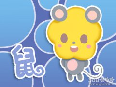 属鼠女为什么不能体会别人的真心