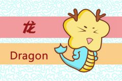 属龙的人在新的一段感情中会和前任藕断丝连吗