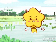 太疯狂 追星追到走火入魔的生肖