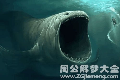 鱼咬手出血