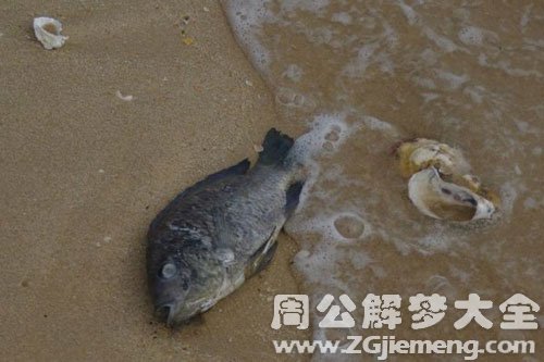 死鱼复活