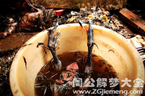 梦见拔黑鸡毛