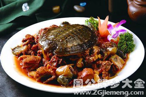 吃鳖肉