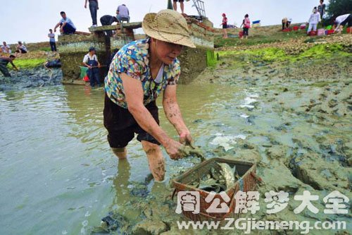 男人梦见捉鱼