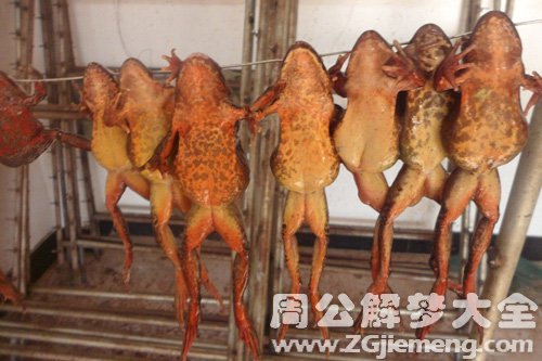 梦见金蛙被吃