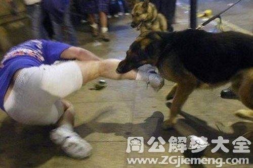 梦见自己孩子被狗咬