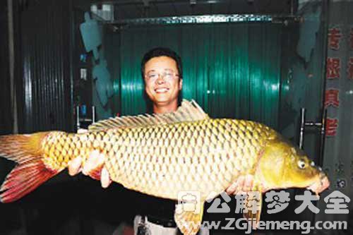 梦见金色大鱼