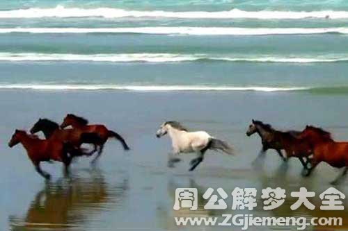 梦见群马奔跑