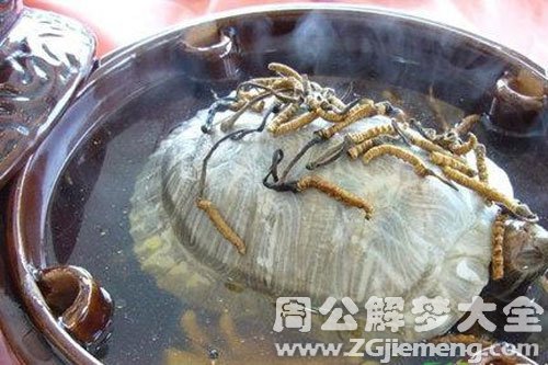 乌龟