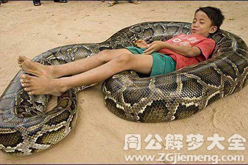 梦见蛇吞小孩