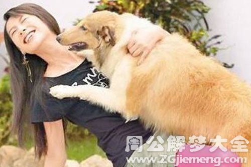 扑向