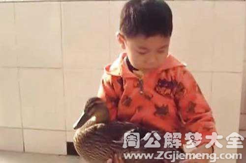 梦见抱鸭子