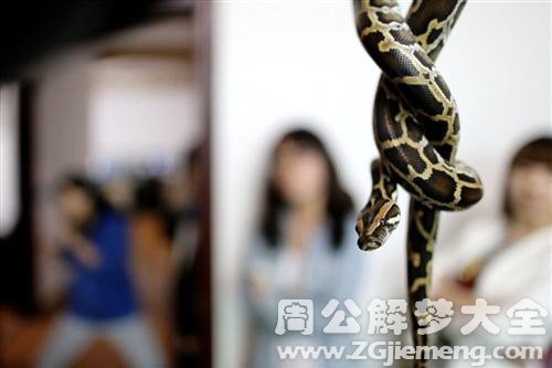 梦见小蛇从身体中爬出