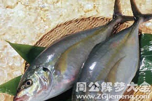 鱼死
