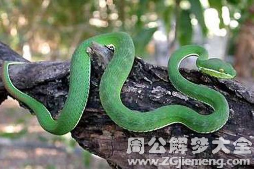 逃跑