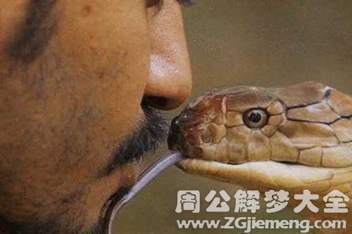 昨晚梦见被蛇咬
