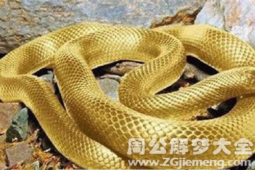 蛇