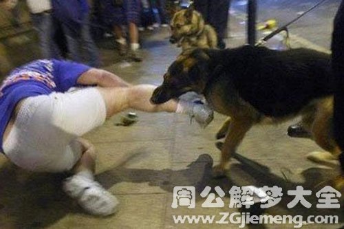 狗咬2