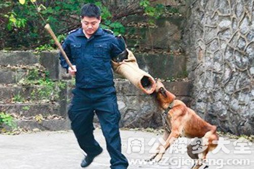 狗咬