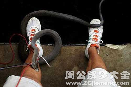 老公梦见被蛇咬