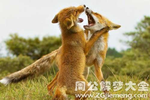 梦见狐狸咬自己