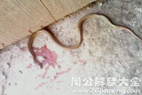 打死蛇