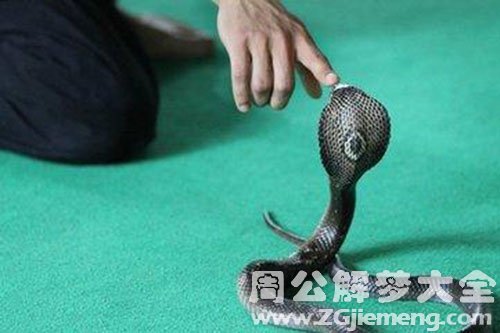 被蛇咬