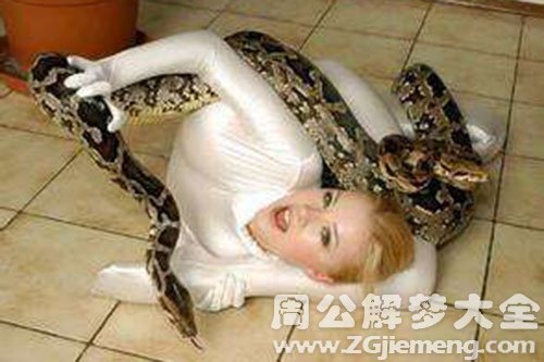 蛇