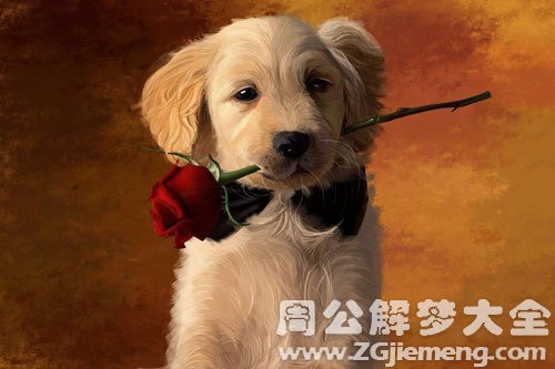 自己被狗咬出血了