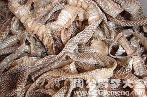 蛇皮