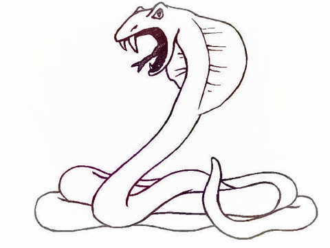 眼镜蛇